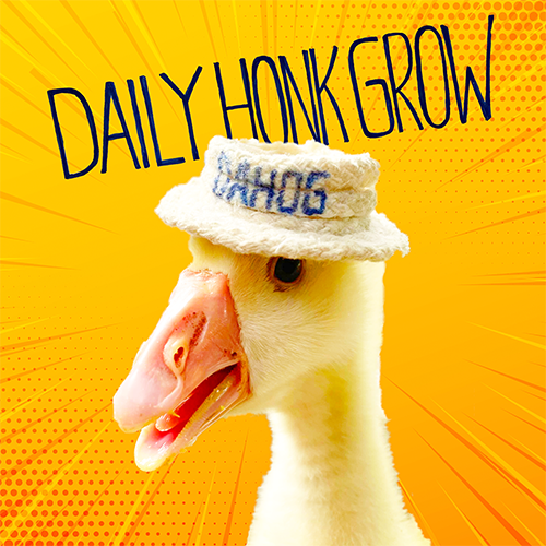 Goose Meme